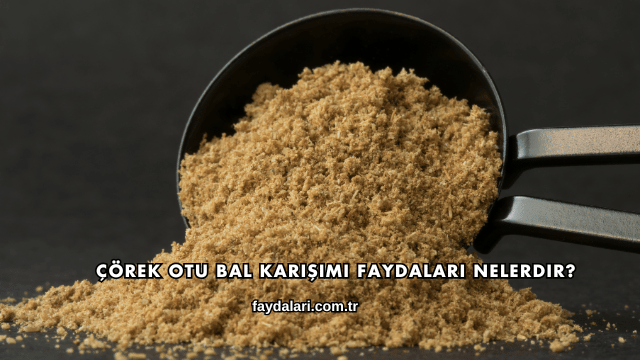 Çörek Otu Bal Karışımı Faydaları Nelerdir?