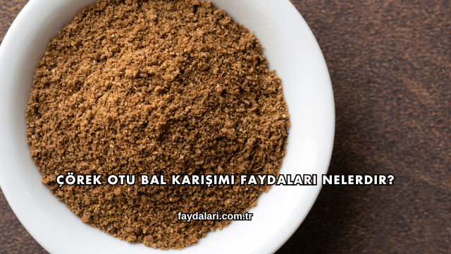 Çörek Otu Bal Karışımı Faydaları Nelerdir?