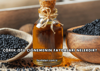 Çörek Otu Çiğnemenin Faydaları Nelerdir?