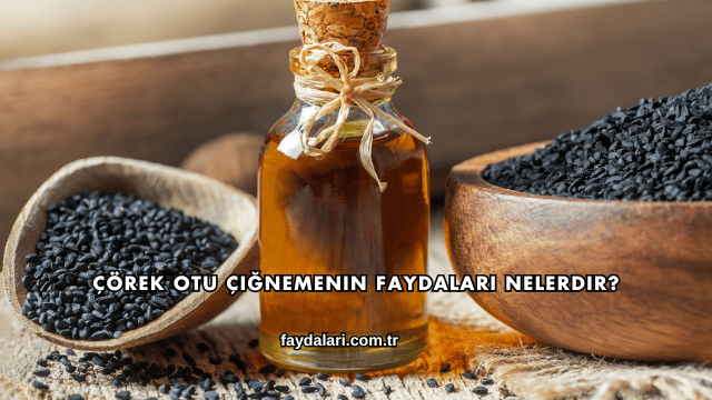 Çörek Otu Çiğnemenin Faydaları Nelerdir?
