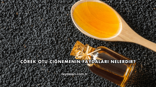 Çörek Otu Çiğnemenin Faydaları Nelerdir?