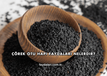 Çörek Otu Hapı Faydaları Nelerdir?