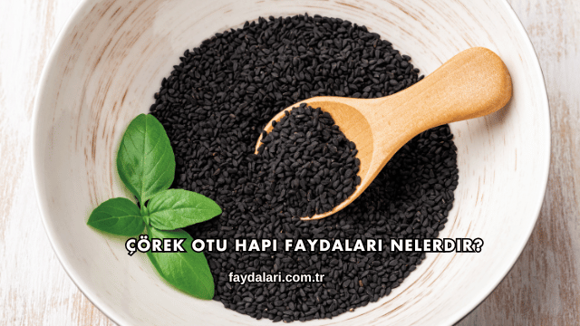 Çörek Otu Hapı Faydaları Nelerdir?