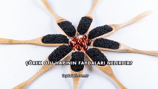 Çörek Otu Hapının Faydaları Nelerdir?