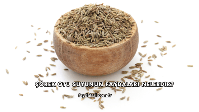 Çörek Otu Suyunun Faydaları Nelerdir?