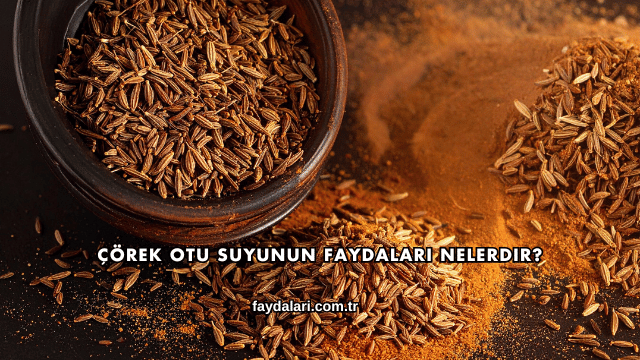 Çörek Otu Suyunun Faydaları Nelerdir?