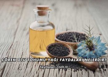 Çörek Otu Tohumu Yağı Faydaları Nelerdir?