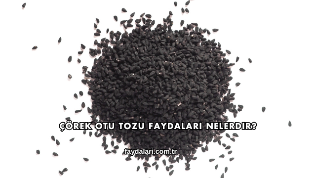 Çörek Otu Tozu Faydaları Nelerdir?