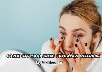 Çörek Otu Yağı Kremi Faydaları Nelerdir?