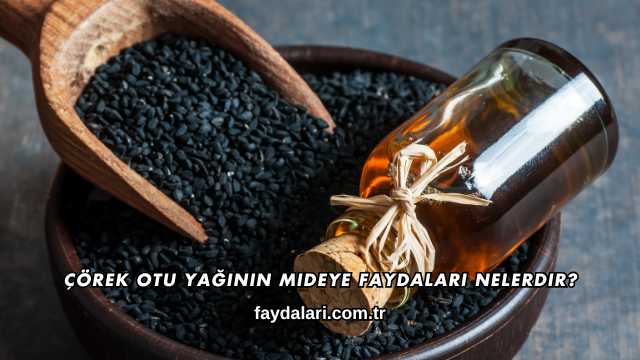 Çörek Otu Yağının Mideye Faydaları Nelerdir?