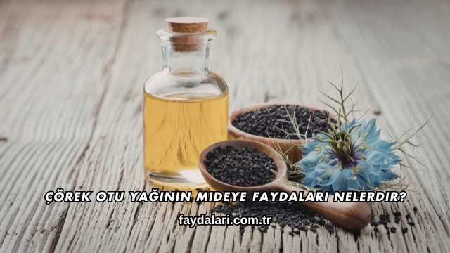 Çörek Otu Yağının Mideye Faydaları Nelerdir?