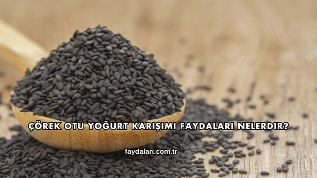 Çörek Otu Yoğurt Karışımı Faydaları Nelerdir?