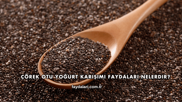 Çörek Otu Yoğurt Karışımı Faydaları Nelerdir?