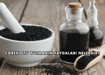Çörek Otu Yutmanın Faydaları Nelerdir?