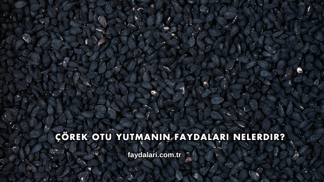 Çörek Otu Yutmanın Faydaları Nelerdir?