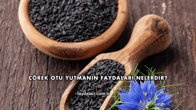 Çörek Otu Yutmanın Faydaları Nelerdir?