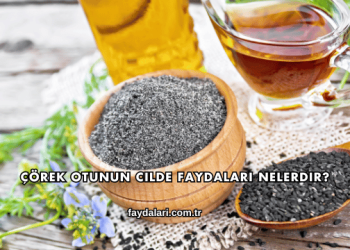 Çörek Otunun Cilde Faydaları Nelerdir?