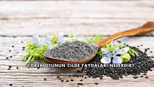 Çörek Otunun Cilde Faydaları Nelerdir?