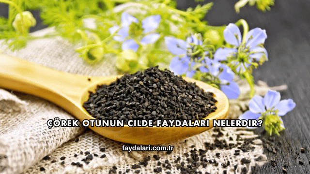 Çörek Otunun Cilde Faydaları Nelerdir?