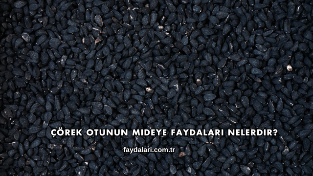 Çörek Otunun Mideye Faydaları Nelerdir?