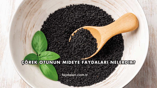Çörek Otunun Mideye Faydaları Nelerdir?