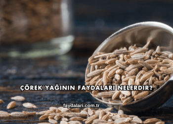 Çörek Yağının Faydaları Nelerdir?