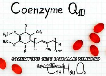 Cortimycine Cilde Faydaları Nelerdir?