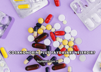 Cosakondrin Plus Faydaları Nelerdir?