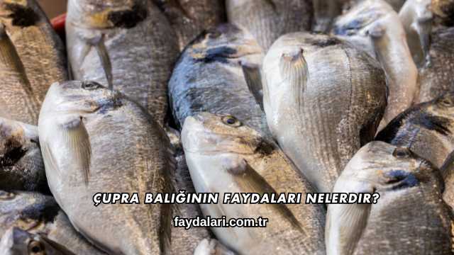 Çupra Balığının Faydaları Nelerdir?