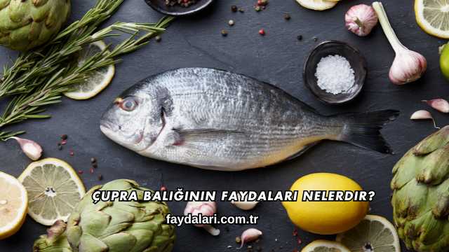 Çupra Balığının Faydaları Nelerdir?