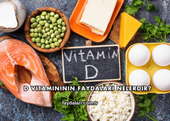 D Vitamininin Faydaları Nelerdir?