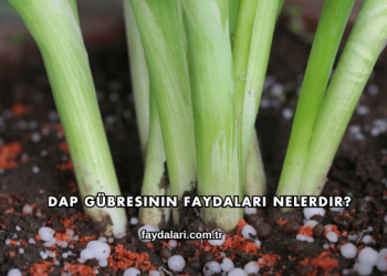 DAP Gübresinin Faydaları Nelerdir?