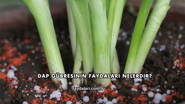 DAP Gübresinin Faydaları Nelerdir?