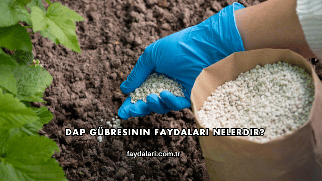 DAP Gübresinin Faydaları Nelerdir?