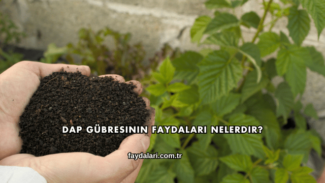 DAP Gübresinin Faydaları Nelerdir?