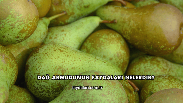 Dağ Armudunun Faydaları Nelerdir?