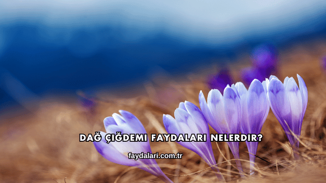 Dağ Çiğdemi Faydaları Nelerdir?