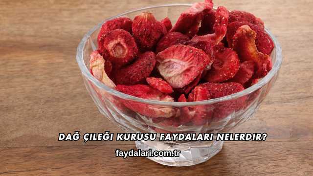 Dağ Çileği Kurusu Faydaları Nelerdir?