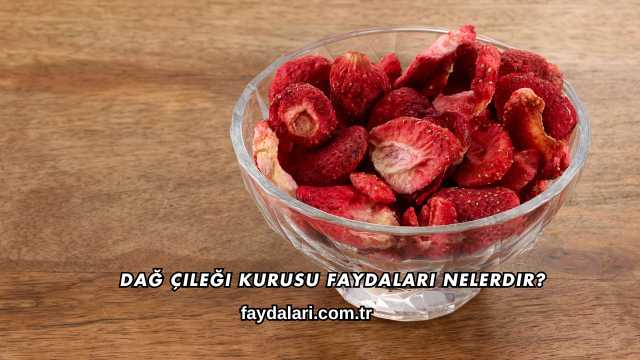 Dağ Çileği Kurusu Faydaları Nelerdir?
