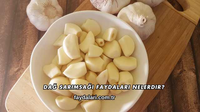 Dağ Sarımsağı Faydaları Nelerdir?