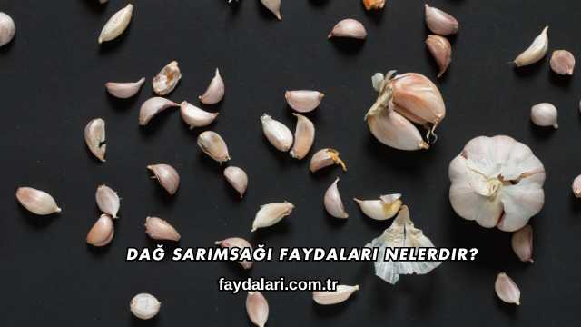 Dağ Sarımsağı Faydaları Nelerdir?