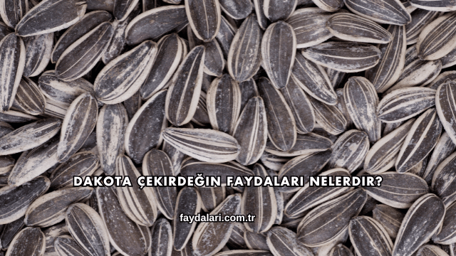 Dakota Çekirdeğin Faydaları Nelerdir?