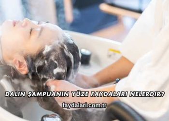 Dalin Şampuanın Yüze Faydaları Nelerdir?