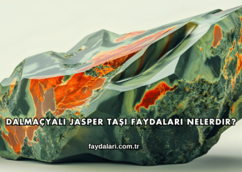 Dalmaçyalı Jasper Taşı Faydaları Nelerdir?