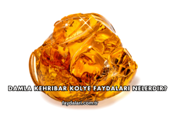 Damla Kehribar Kolye Faydaları Nelerdir?