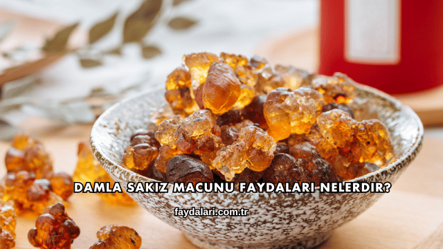 Damla Sakız Macunu Faydaları Nelerdir?