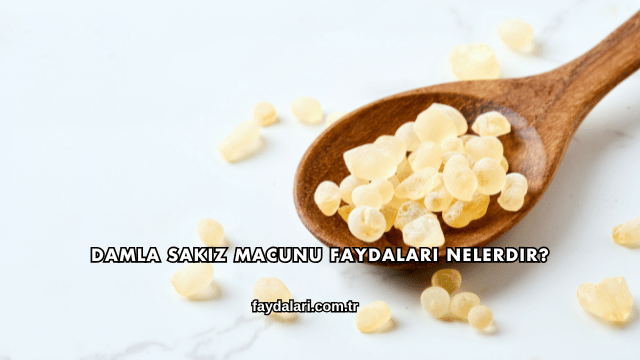 Damla Sakız Macunu Faydaları Nelerdir?