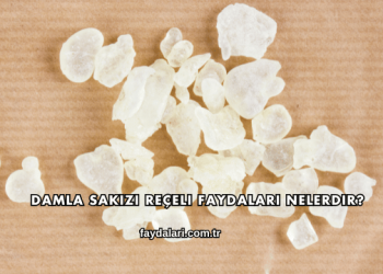 Damla Sakızı Reçeli Faydaları Nelerdir?