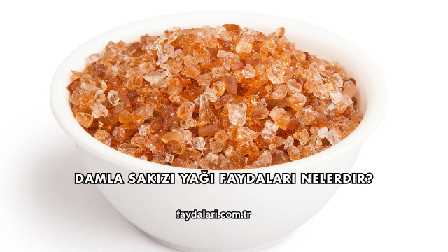 Damla Sakızı Yağı Faydaları Nelerdir?