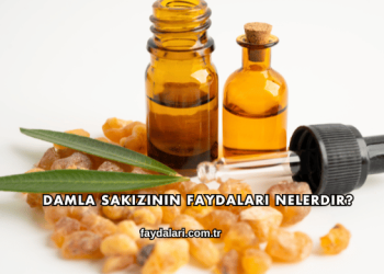 Damla Sakızının Faydaları Nelerdir?